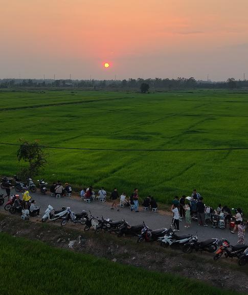 Cánh đồng lúa Xuân Thới Sơn: Điểm đến check in lý tưởng cho giới trẻ - Ảnh 3.