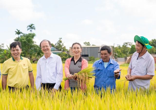Phân bón Cà Mau tiên phong triển khai chuỗi mô hình canh tác năng suất cao- Ảnh 3.