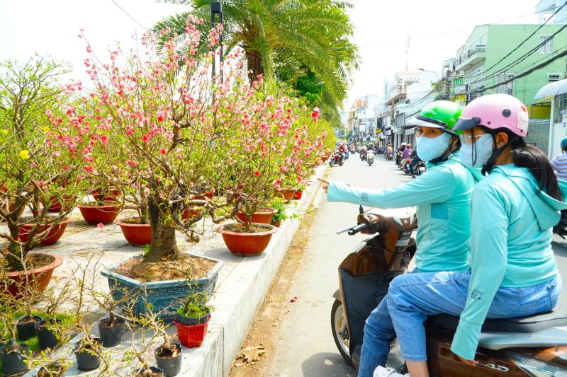 Bất ngờ giá hoa đào ' độc nhất ' ở chợ hoa Cần Thơ Tết Nguyên đán 2026 - Ảnh 4.