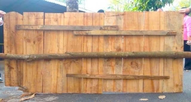 Công an tỉnh Gia Lai công bố nghi phạm cướp ngân hàng- Ảnh 5.