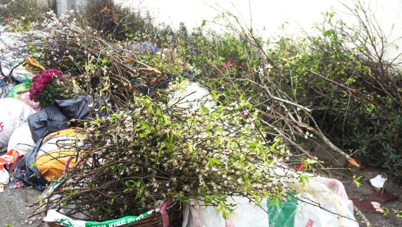 Rác thải chất thành đống ở các phường trung tâm Thanh Hóa- Ảnh 2.