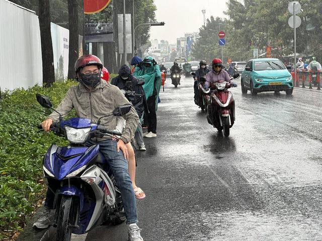 TP.HCM lại xuất hiện mưa trái mùa, nhà vườn bán hoa tết lo mất xuân  - Ảnh 9.