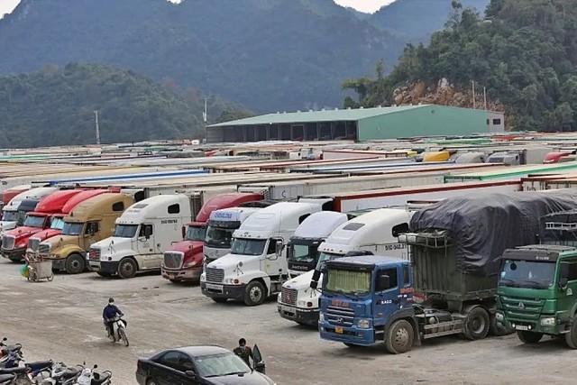Đề xuất tạm ngưng hiệu lực Nghị định 46 đến hết ngày 15.4- Ảnh 1.