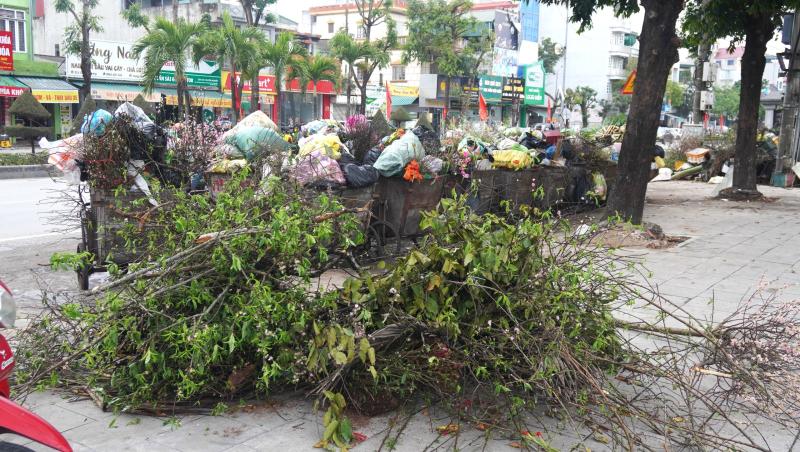 Rác thải chất thành đống ở các phường trung tâm Thanh Hóa- Ảnh 4.