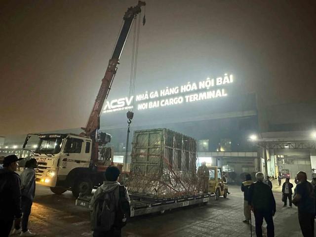 Chuyến hồi hương 'chưa từng có' của cá thể voi Lào- Ảnh 4.