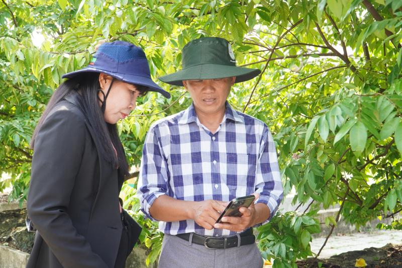 Vườn bonsai tiền tỉ khởi nguồn từ thú chơi mai tết - Ảnh 2.