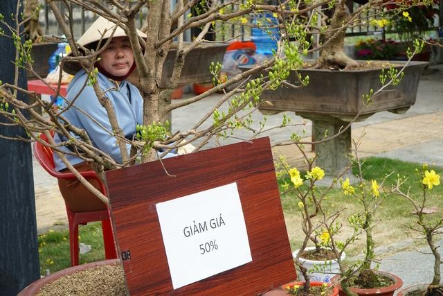 Người bán hoa ở Cần Thơ: “Treo biển giảm giá đau lòng lắm”- Ảnh 1.
