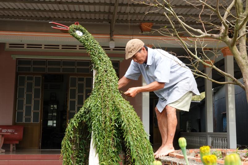 Lão nông miền Tây uốn cây thuốc nam thành kiểng thú, làm đẹp sân nhà ngày tết - Ảnh 2.