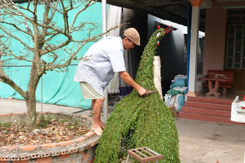 Lão nông miền Tây uốn cây thuốc nam thành kiểng thú, làm đẹp sân nhà ngày tết - Ảnh 6.