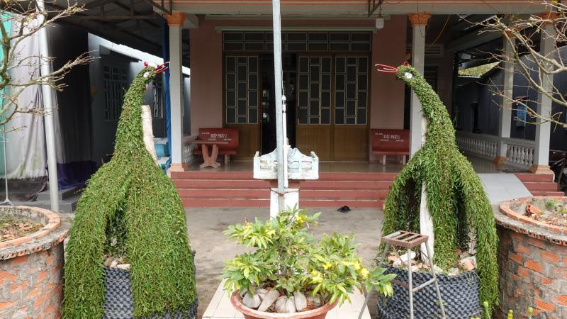 Lão nông miền Tây uốn cây thuốc nam thành kiểng thú, làm đẹp sân nhà ngày tết - Ảnh 7.