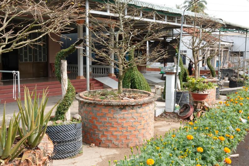 Lão nông miền Tây uốn cây thuốc nam thành kiểng thú, làm đẹp sân nhà ngày tết - Ảnh 8.