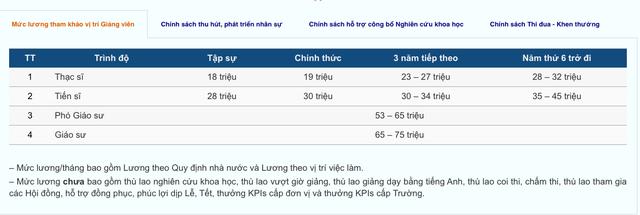 Trường ĐH công lập tuyển dụng giảng viên lương 75 triệu đồng/tháng và nhiều đãi ngộ khác - Ảnh 1.