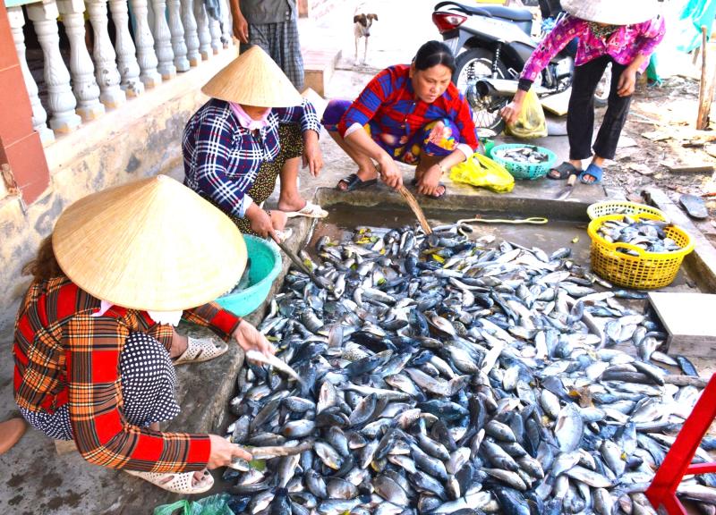 Cận Tết Nguyên đán, nông dân Cà Mau bắt cá chẽm vuông tôm thu tiền triệu- Ảnh 8.