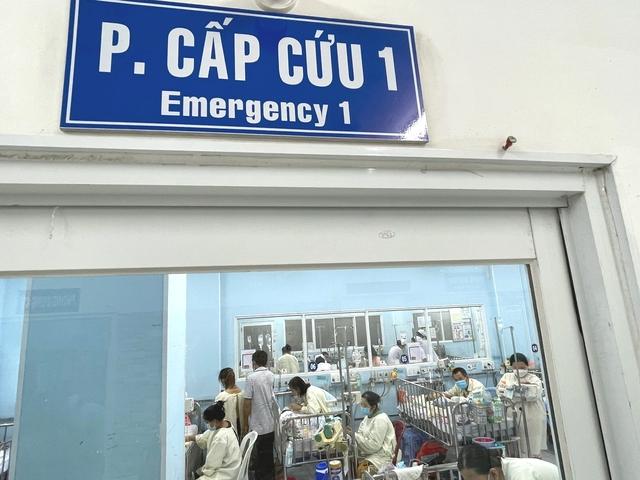 Tình hình cấp cứu, khám bệnh dịp Tết Nguyên đán Bính Ngọ 2026 tại TP.HCM- Ảnh 1.