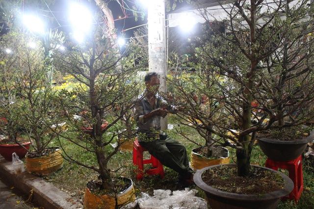 Mưu sinh ở Bến Bình Đông: Những chiếc ghe chở cả một cái tết- Ảnh 2.