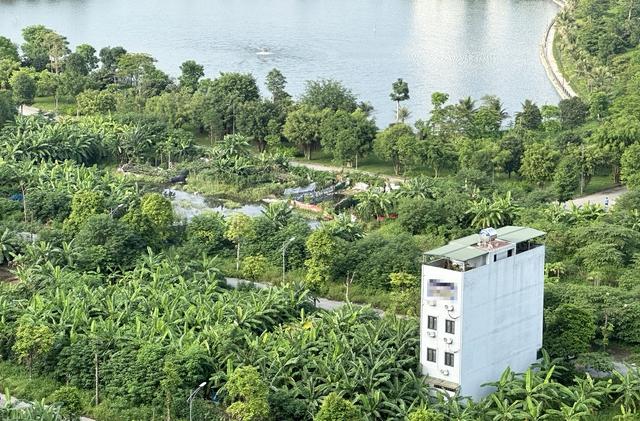 Tranh chấp tài sản giữa chàng rể ngoại quốc và gia đình vợ tại Việt Nam- Ảnh 1.