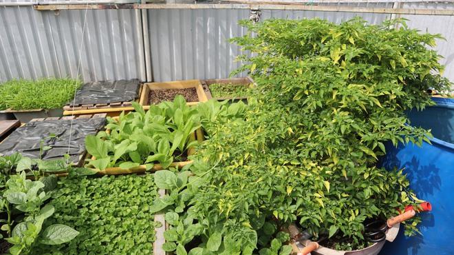 Tết của những 'cột mốc sống' trên biển, mãi vì chủ quyền Tổ quốc thiêng liêng- Ảnh 29.