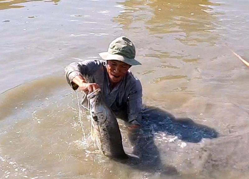 Cận Tết Nguyên đán, nông dân Cà Mau bắt cá chẽm vuông tôm thu tiền triệu- Ảnh 4.