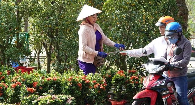 Phải có 'giấy thông hành' mới được chở hoa kiểng tết đi bán là bịa đặt- Ảnh 2.