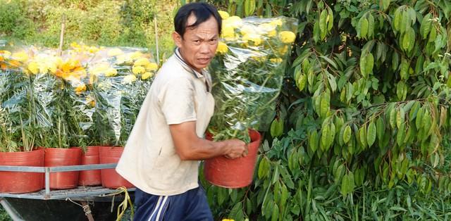 Phải có 'giấy thông hành' mới được chở hoa kiểng tết đi bán là bịa đặt- Ảnh 1.