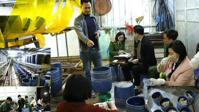 Khởi tố chủ cơ sở dùng chất kích thích sản xuất gần 2,8 tấn giá đỗ- Ảnh 1.