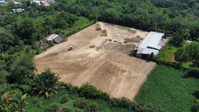 San lấp trái phép 1.800m2 giữa rừng cây ở TP.HCM: Chờ chủ đất về xử lý? - Ảnh 1.