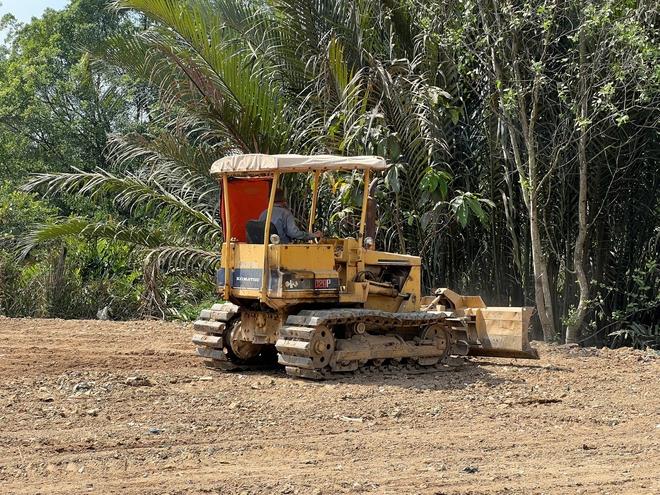 San lấp trái phép 1.800m2 giữa rừng cây ở TP.HCM: Chờ chủ đất về xử lý? - Ảnh 3.
