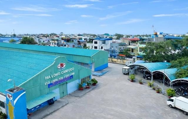 Đồ hộp Hạ Long báo lỗ kỷ lục sau vụ án thịt heo nhiễm bệnh - Ảnh 1.