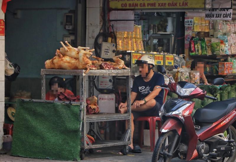Khu bán thịt chó lớn nhất TP.HCM một thời, nay nhiều quán đóng cửa vĩnh viễn - Ảnh 2. Khu bán thịt chó lớn nhất TP.HCM một thời, nay nhiều quán đóng cửa vĩnh viễn - Ảnh 2.