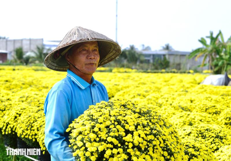 Nước mắt... và lòng tự trọng của người trồng hoa tết - Ảnh 4.