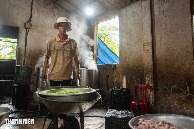 Hái rau ngót vo nếp nấu ra món bánh tét mặt trăng nức tiếng Quảng Trị - Ảnh 3.
