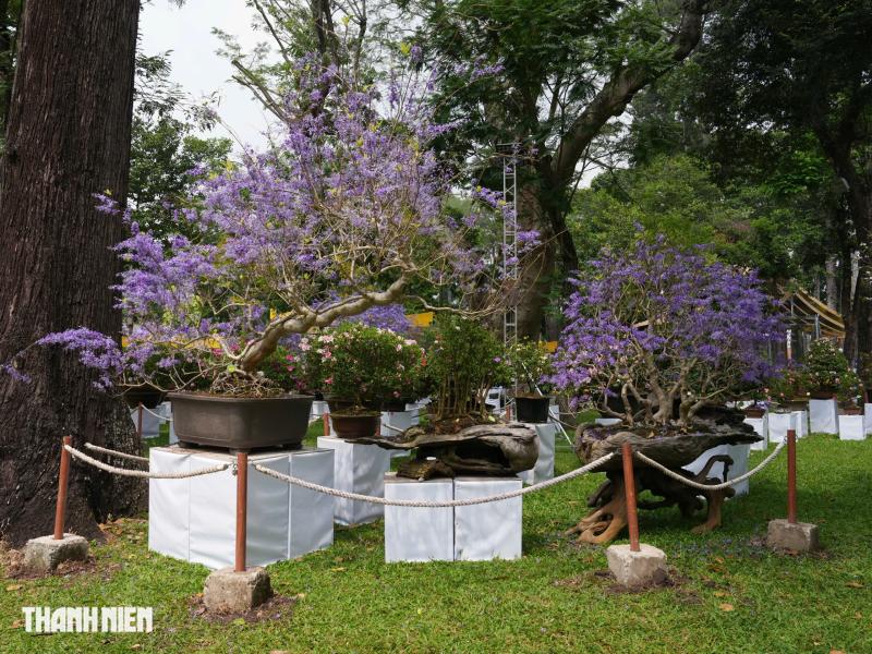 Toàn cảnh Hội hoa xuân ở trung tâm TP.HCM trước giờ khai mạc: Bên trong có gì?  - Ảnh 15.