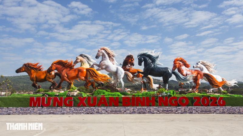 'Bộ sưu tập' linh vật ngựa của nghệ nhân Đinh Văn Tâm tại quê nhà Quảng Trị - Ảnh 5.