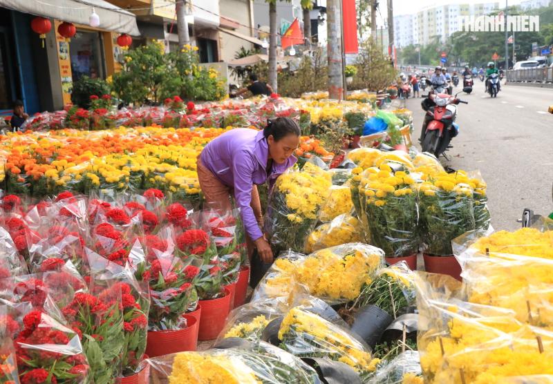 27 tết: Hoa cúc chất đống nằm la liệt ở TP.HCM, người bán nói câu nghẹn lòng  - Ảnh 5.