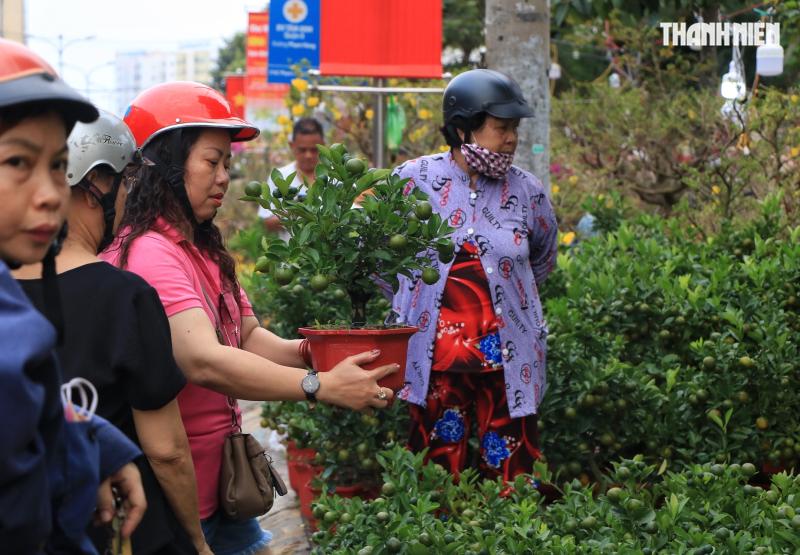 Bất ngờ hoa tết ở TP.HCM: Nhà vườn gặp khách sộp liền… lì xì ngược lại khách - Ảnh 5.