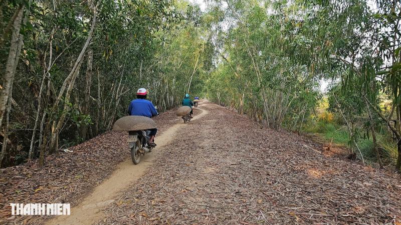 Lận đận nghề bắt cá lia thia: Gom nhặt lộc trời, đong đầy nghĩa xóm - Ảnh 2.