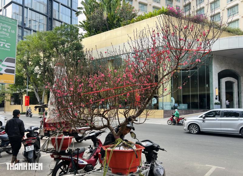 Chợ hoa tết ở tp.Hcm: Hoa đào quyến rũ chờ đón Bạn - Ảnh 3.
