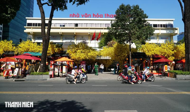 Đường mai - Phố ông đồ ở TP.HCM rực rỡ trước giờ mở cửa chính thức  - Ảnh 1.