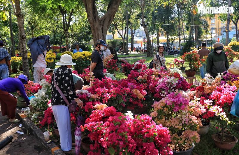 Chợ hoa tết ở TP.HCM sắp đóng cửa trước giao thừa: Người bán xả hàng giảm 50% - Ảnh 1.