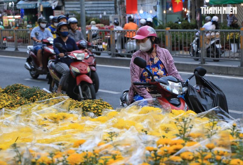 Bất ngờ hoa tết ở TP.HCM: Nhà vườn gặp khách sộp liền… lì xì ngược lại khách - Ảnh 8.