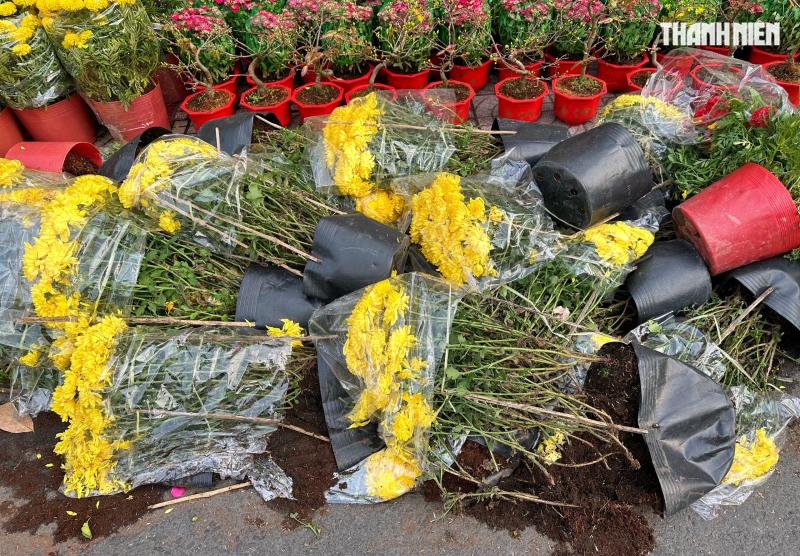 27 tết: Hoa cúc chất đống nằm la liệt ở TP.HCM, người bán nói câu nghẹn lòng  - Ảnh 2.