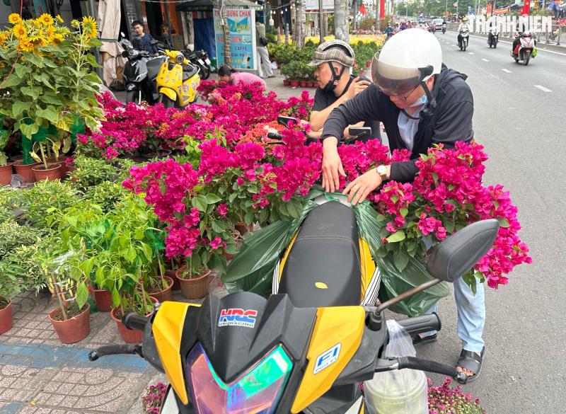 Bất ngờ hoa tết ở TP.HCM: Nhà vườn gặp khách sộp liền… lì xì ngược lại khách - Ảnh 7.