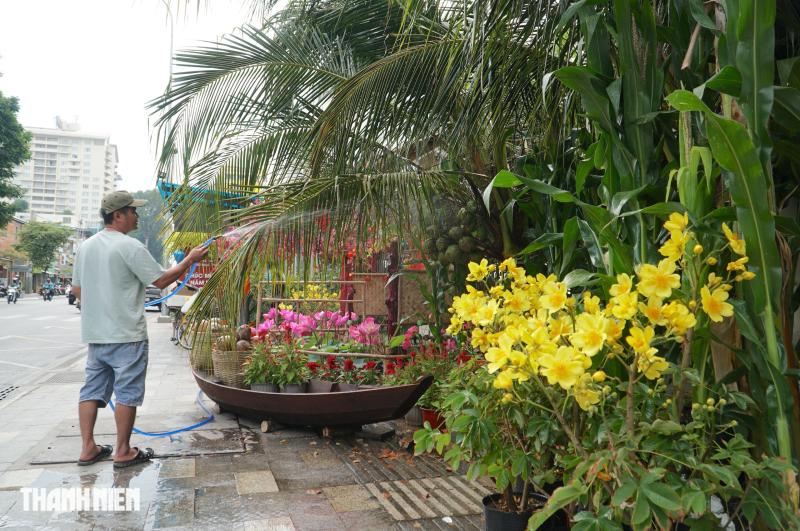 Cảnh quê yên bình trong sân nhà thờ ở TP.HCM, chuẩn bị đón Tết Bính Ngọ - Ảnh 2.
