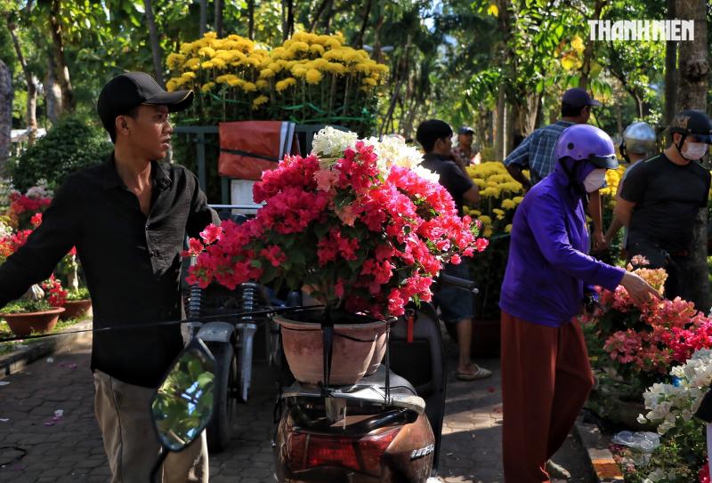 Chợ hoa tết ở TP.HCM sắp đóng cửa trước giao thừa: Người bán xả hàng giảm 50% - Ảnh 4.