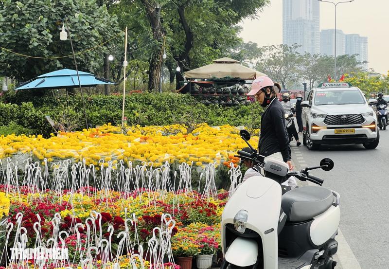 Hoa tết 2026 tràn ngập đường phố TP.HCM: Người dân thích là 'ghé lựa' - Ảnh 3.