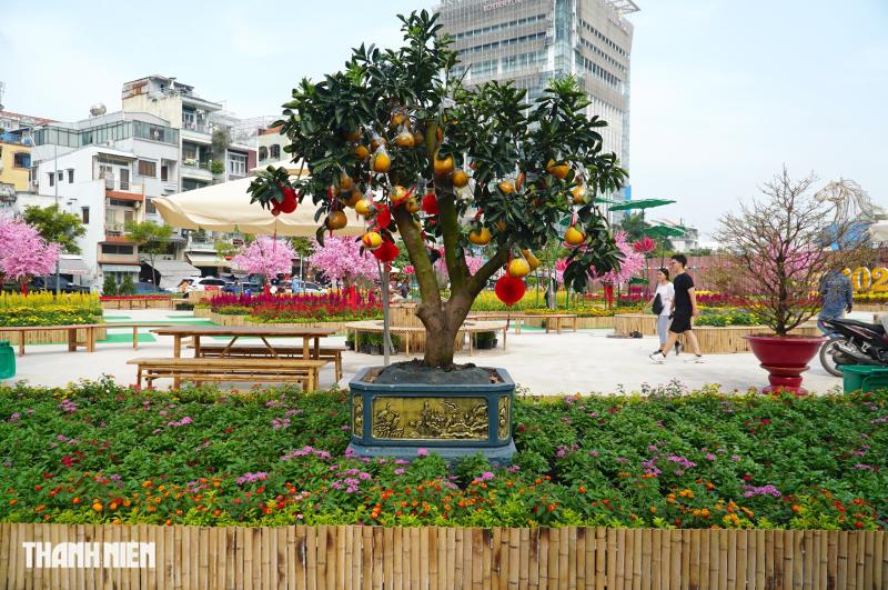 Linh vật ngựa cao 8 m tại khu ‘đất vàng’ làm công viên ở đường Trần Phú - Ảnh 9.