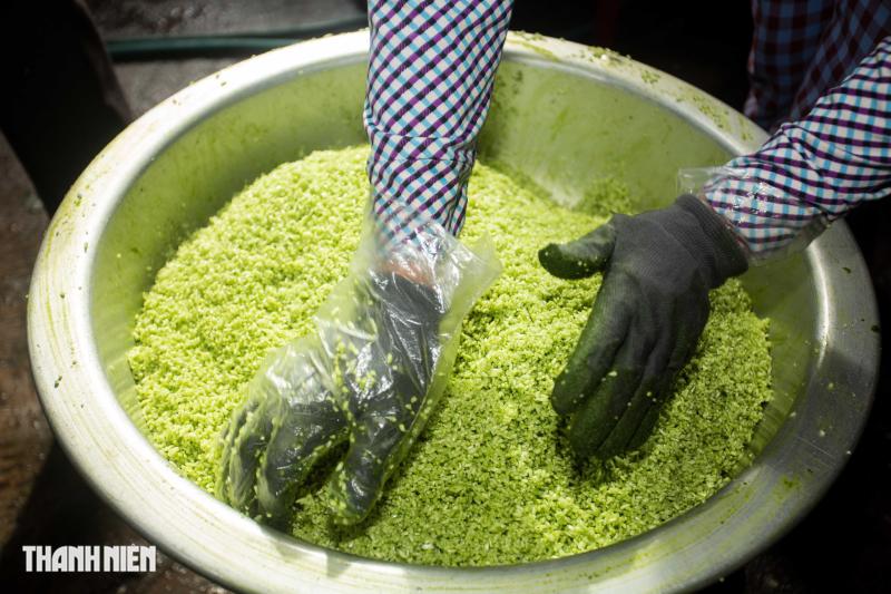 Hái rau ngót vo nếp nấu ra món bánh tét mặt trăng nức tiếng Quảng Trị - Ảnh 2.