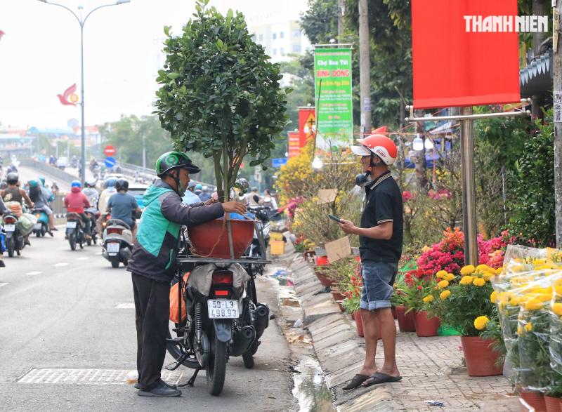 27 tết: Hoa cúc chất đống nằm la liệt ở TP.HCM, người bán nói câu nghẹn lòng  - Ảnh 7.