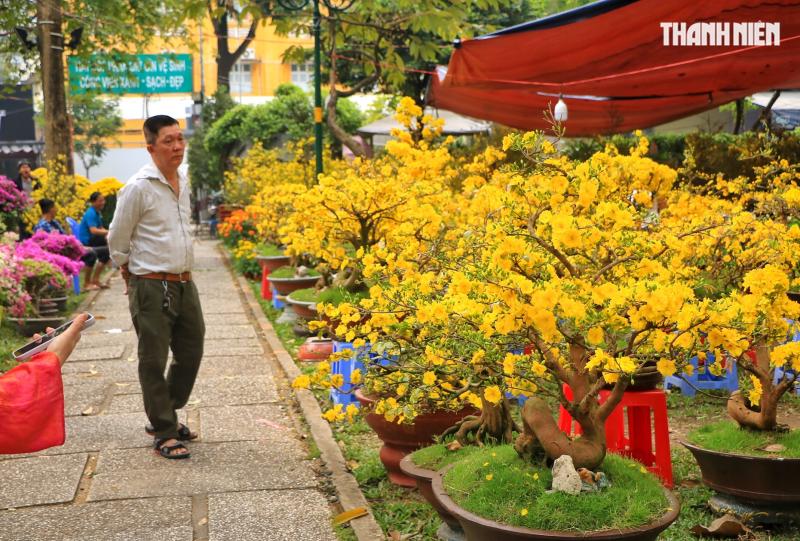 Người bán hoa tết ở TP.HCM tươi như hoa, chia sẻ bí quyết là... không nói thách! - Ảnh 1.