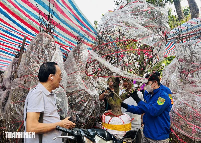 Chợ hoa tết ở tp.Hcm: Hoa đào quyến rũ chờ đón Bạn - Ảnh 2.